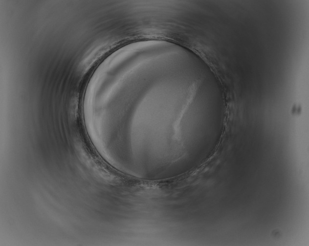 X0000110730194200906261527