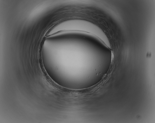 X0000110730195200906261527