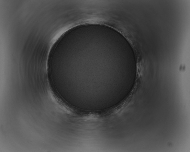 X0000110730196200906261527