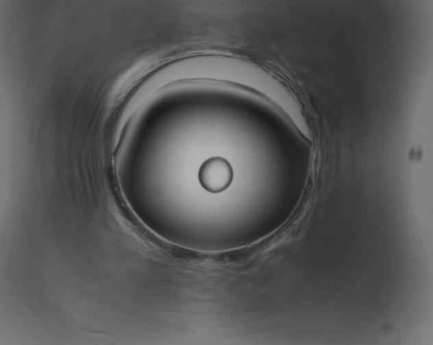 X0000110730197200906261527