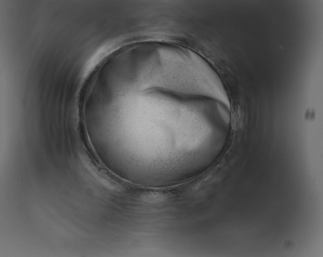 X0000110730198200906261527