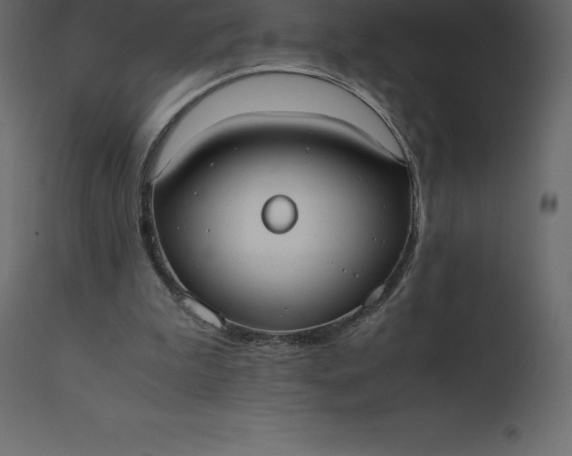 X0000110730199200906261527