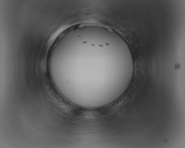 X0000110730200200906261527