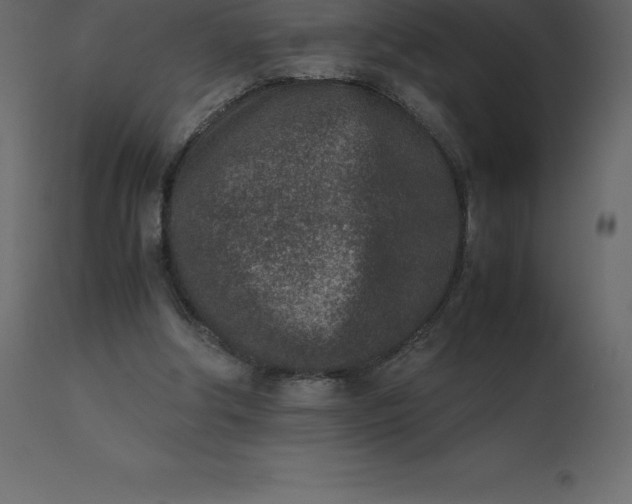 X0000110730202200906261526