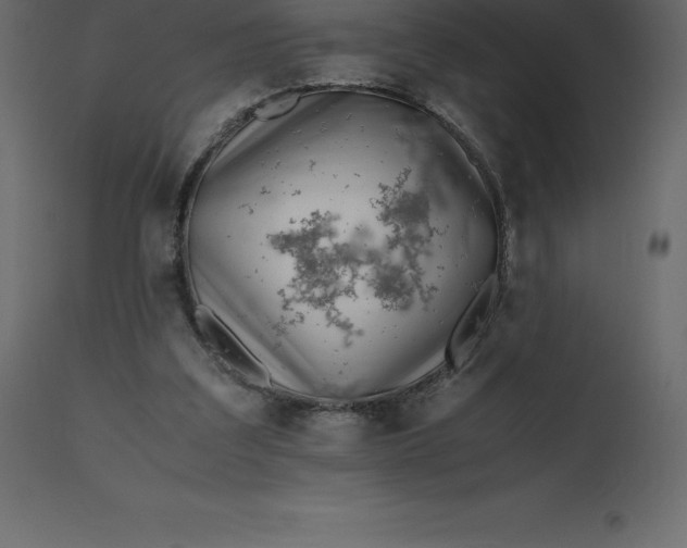 X0000110730203200906261526