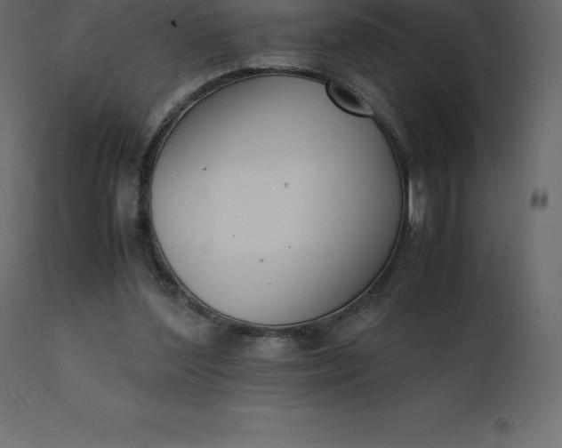 X0000110730204200906261526