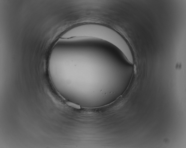 X0000110730205200906261526