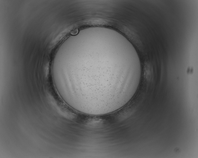 X0000110730206200906261526