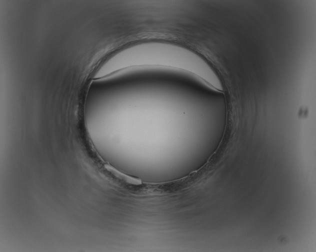 X0000110730207200906261526