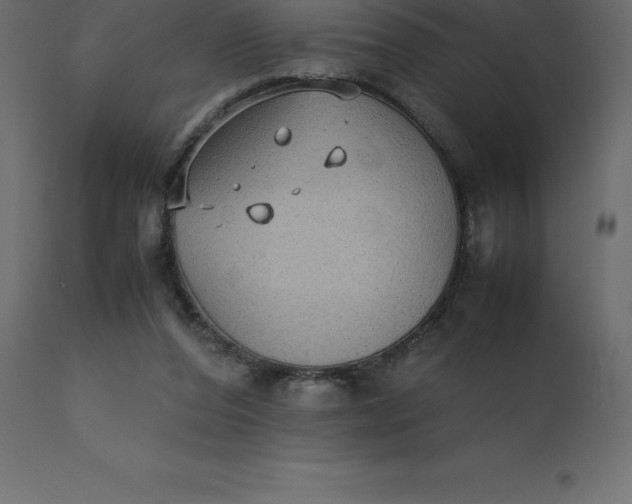 X0000110730208200906261526