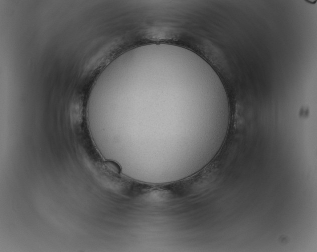 X0000110730210200906261526