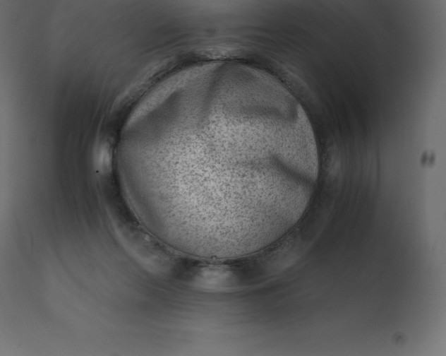 X0000110730214200906261526