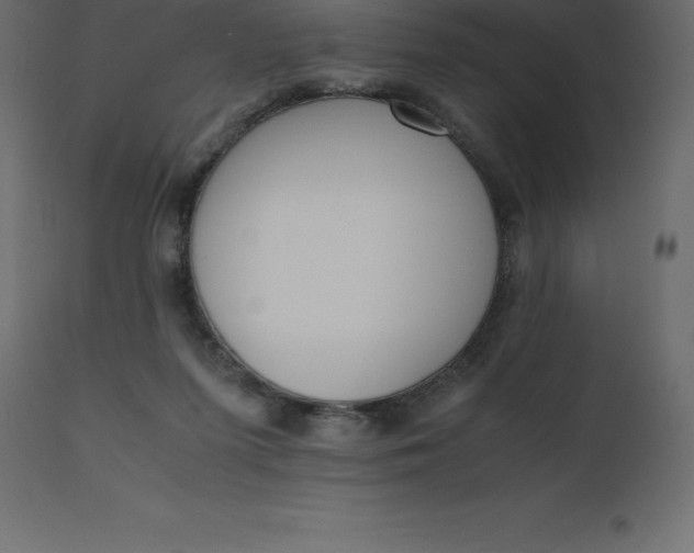 X0000110730215200906261526