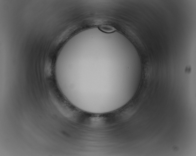 X0000110730216200906261526