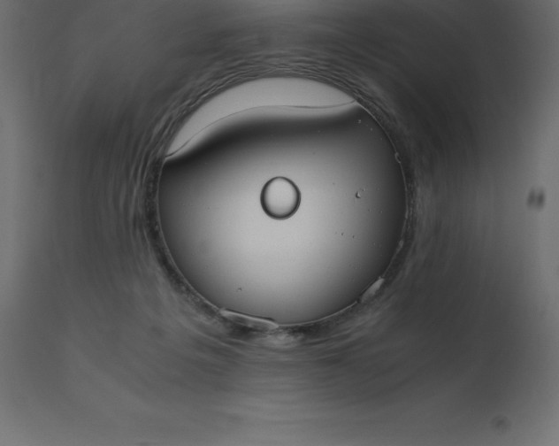 X0000110730217200906261526