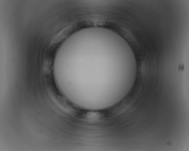 X0000110730218200906261526