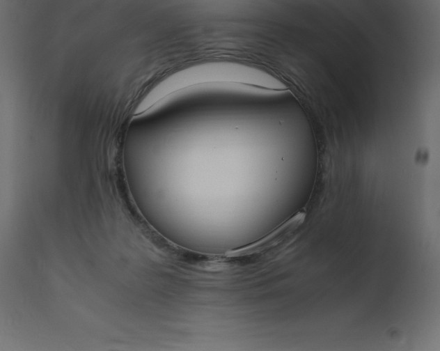 X0000110730219200906261526