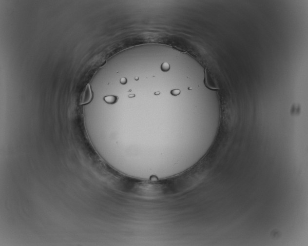 X0000110730221200906261526