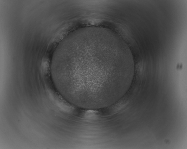 X0000110730222200906261526