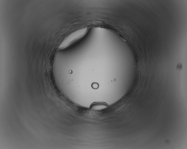 X0000110730223200906261526