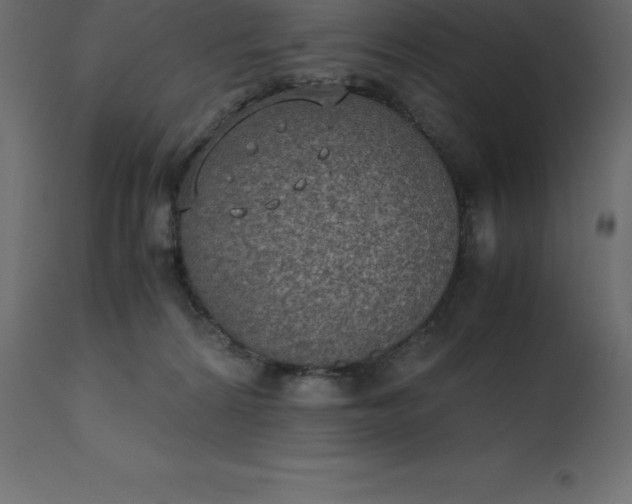 X0000110730224200906261526