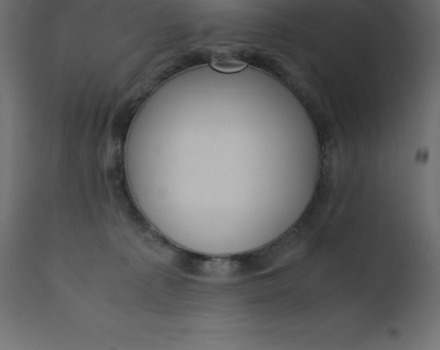 X0000110730225200906261526