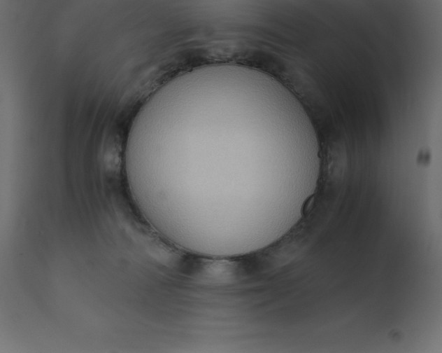 X0000110730226200906261526