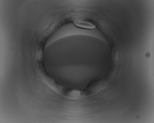 X0000110730227200906261526