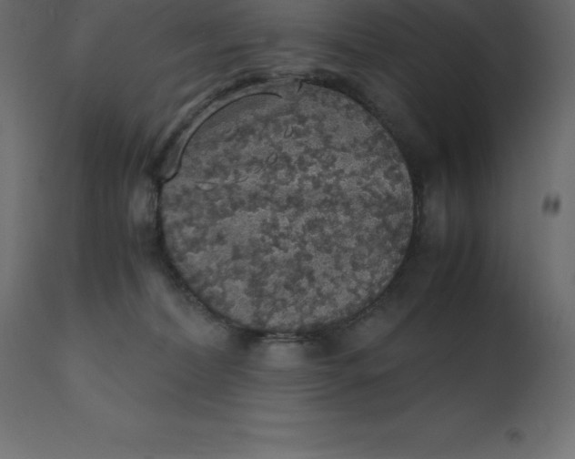 X0000110730228200906261526