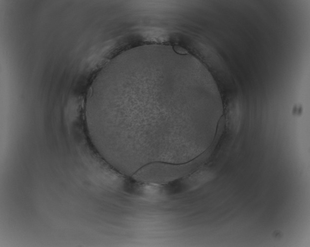 X0000110730229200906261526