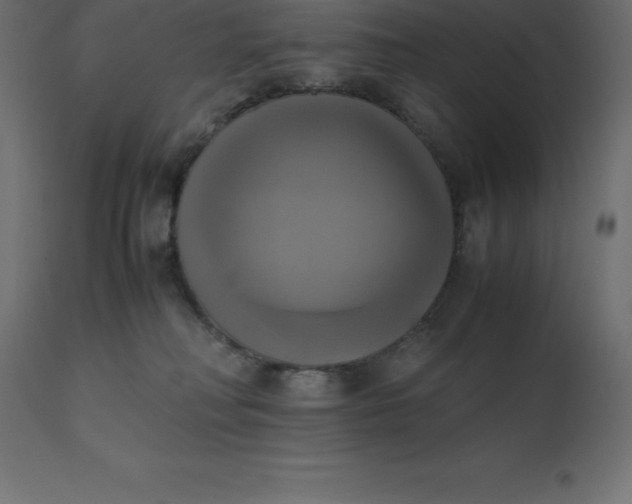 X0000110730230200906261526