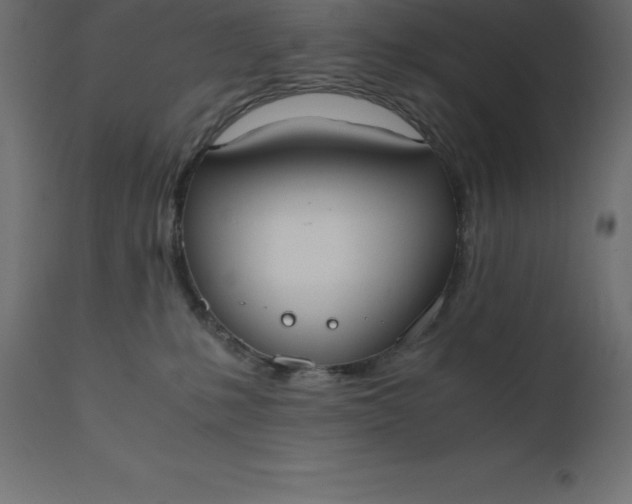 X0000110730231200906261526