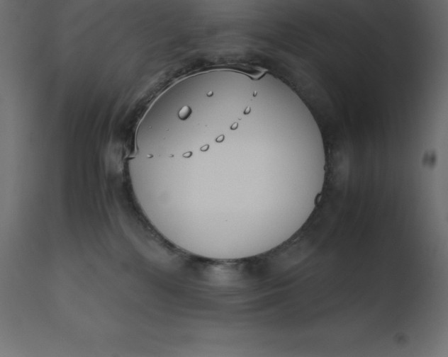 X0000110730232200906261526