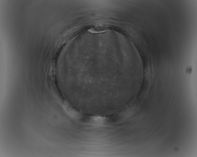 X0000110730233200906261526