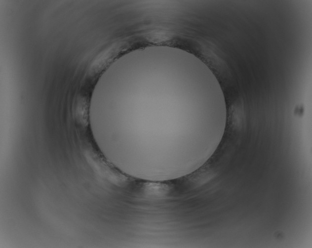 X0000110730234200906261526