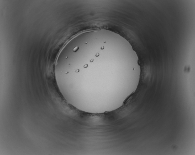 X0000110730236200906261526