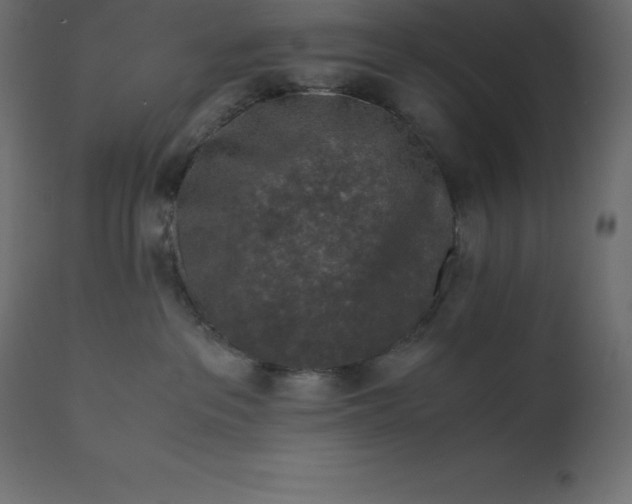 X0000110730237200906261526