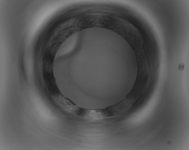 X0000110730239200906261526