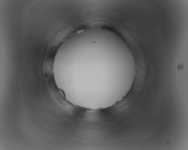 X0000110730240200906261526