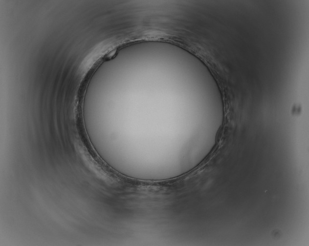 X0000110730242200906261525