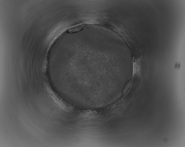 X0000110730243200906261525