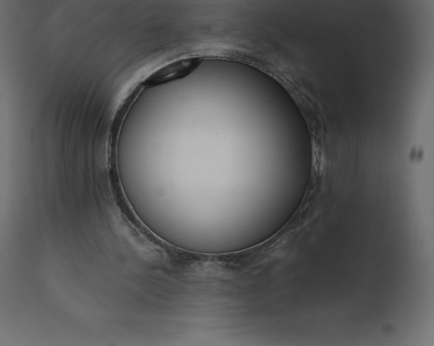 X0000110730244200906261525