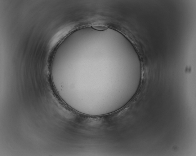 X0000110730245200906261525