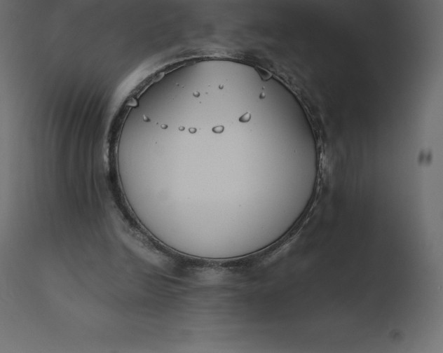 X0000110730246200906261525