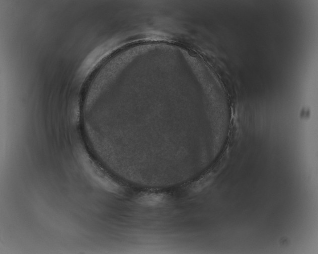 X0000110730247200906261525