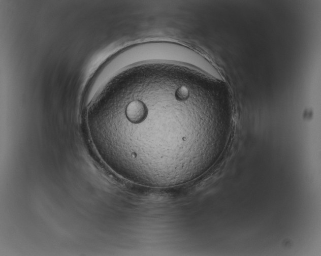 X0000110730248200906261525