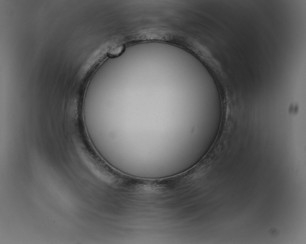 X0000110730250200906261525