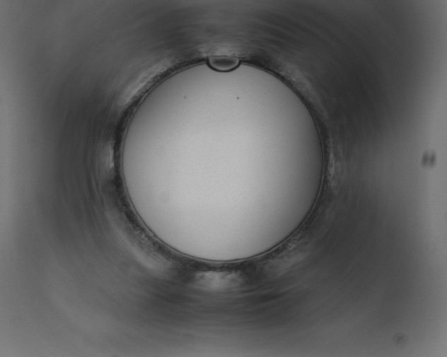 X0000110730251200906261525