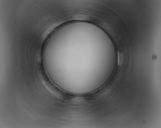 X0000110730252200906261525