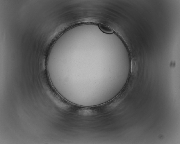 X0000110730253200906261525